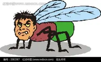 苍蝇矢量图科学研究
