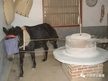 阿里的价值观不过是哄年轻人无脑工作的心灵鸡汤

