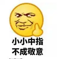 冷漠竖中指表情包微信头像图片大全
