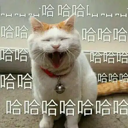 来,给你看看我们宿舍群名

