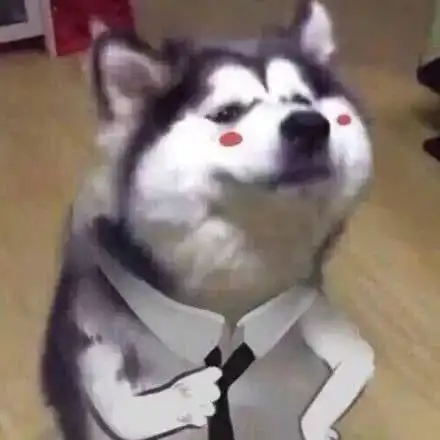 活动速递我为双一流做贡献之图书馆打卡
