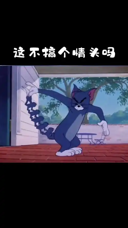 汤姆杰瑞情头来了,要的私我猫和老鼠动漫剪辑汤姆猫搞笑动漫
