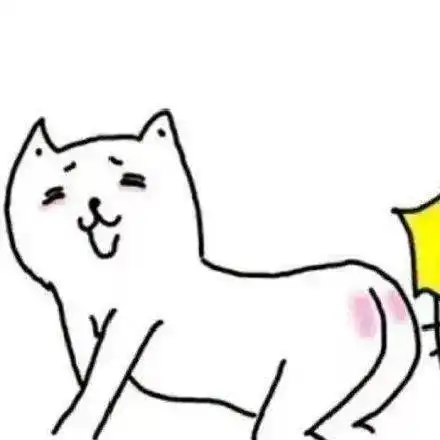 又到了换头像的时候了
