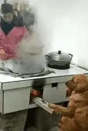 搞笑图片大锦集这25张图片真的不是一般的好笑
