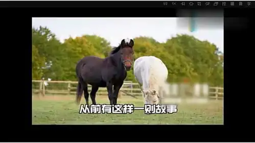 搞笑视频马和驴的视频,把裤子笑掉了

