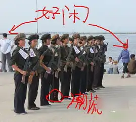 太二了在朝鲜当兵一定很有趣图片
