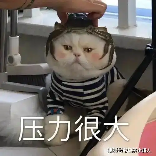 幽默笑话悟空破口大骂唐僧你个死变态,彩铃设成紧箍咒
