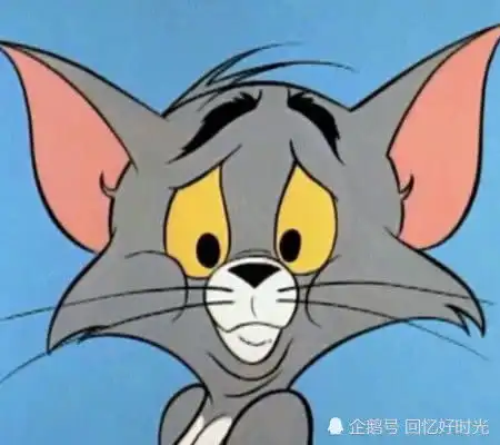 猫和老鼠猫骗了大家几十年,大家都没发现,他原来不叫汤姆
