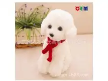 毛绒仿真泰迪狗图片高清毛绒仿真泰迪狗图片大全
