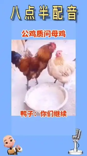 公鸡质问母鸡哈哈搞笑搞笑视频沙雕
