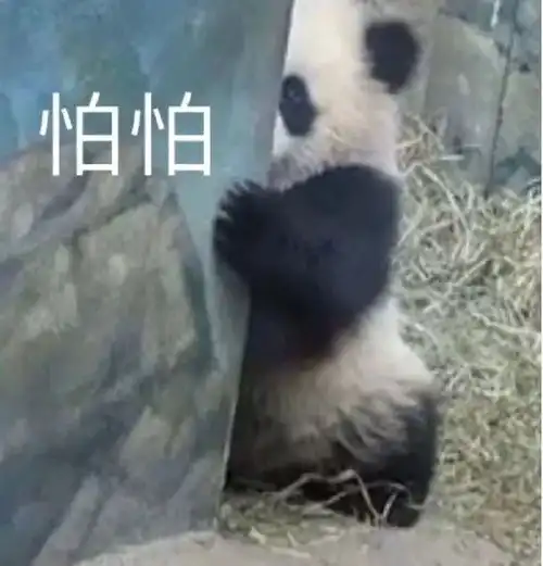8级大风暴雨双台风来袭,省防办发布防御通知
