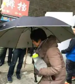 女神范冰冰上演村妇李雪莲网友牺牲好大
