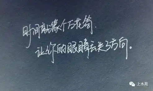 所有的伤害,都源自不了解

