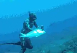 抢劫
