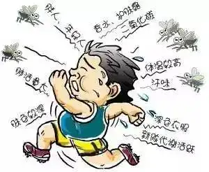 夏天在徽县必做的这些事哪位高人写的,说的太好了
