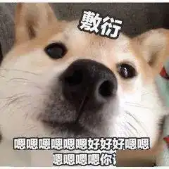 今日份搞笑表情包
