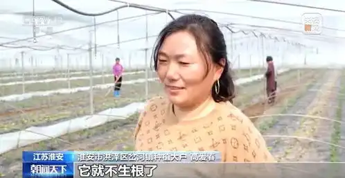 让春耕更绿色农业面源污染防治深入推进
