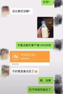 你凭本事欠的钱,我还得凭才华要回来
