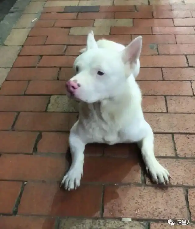 杨丞琳晒出一张照片引起全网爆笑这是李荣浩的娃吗
