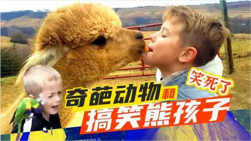 孩子去动物园被吓哭看看搞笑熊孩子和奇葩动物的第一次相见
