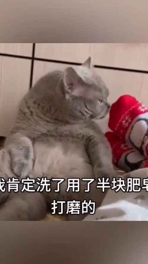 开心搞笑,分享大家
