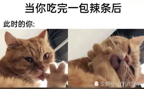 搞笑趣图当你表白失败后,你好兄弟的反应,太真实了
