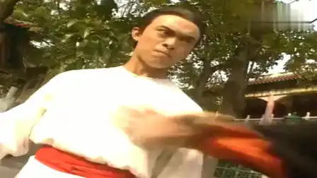 虎鹤双形拳
