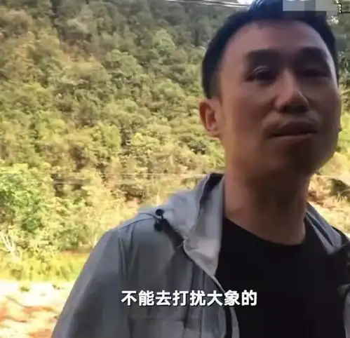 主播踩碎菠萝搞吃播开车狂追大象四天,工作人员恳求不要打扰
