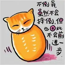 起亚k5社区图片集锦
