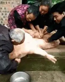 搞笑gif美女吃个手指而已,怎么吃的这么香
