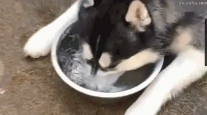 重庆这个空气哦能呛死个人
