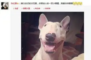 孙红雷晒与其撞脸的小狗照片说我不帅请你出去图
