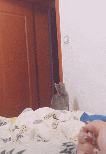 搞笑gif段子懒人和猫更配哦这一招绝了一个正确使用喵的主人

