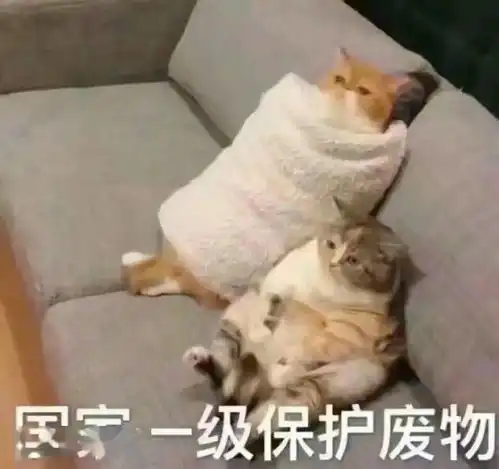 混打疫苗效果更好专家这么说10月底满足大宗疫苗供应澳居民争打辉瑞场面有如饥饿游戏
