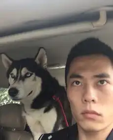 爆笑图片我可能看的是假阿凡达
