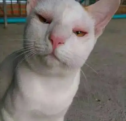 哔哩哔哩专栏
