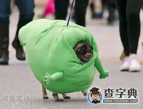 冷天要多穿点出门
