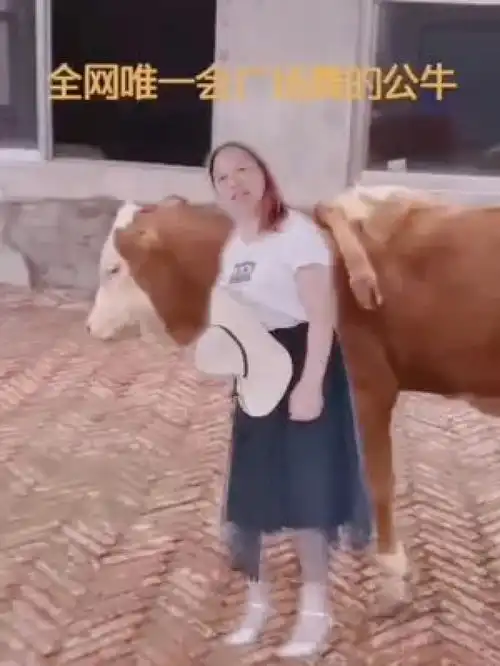 笑断气搞怪妹子逗比表演秀村里的事
