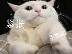 有关于唯美的说说唯美说说带图片qq空间唯美说说大全说说控
