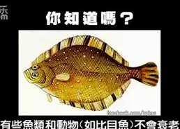 当时我震惊了那些你不知道有趣的冷知识图片9游侠图库
