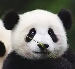 聪明的人已经开始用汤滋补养颜啦
