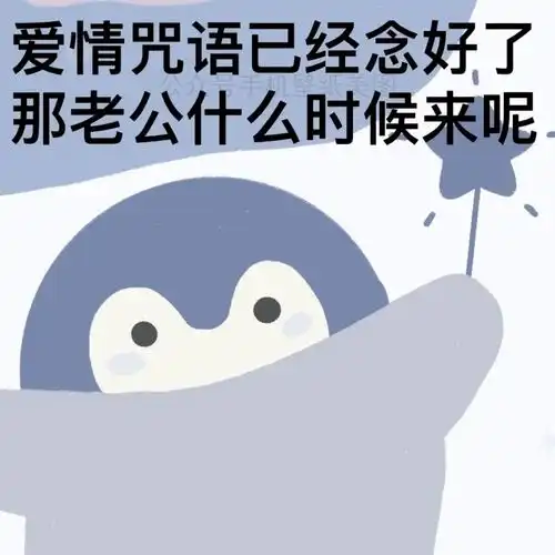沙雕表情包爱情咒语已经念好了,那老公什么时候来呢

