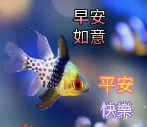 早安心语阳光的人生哲理语录,好心情的早上好祝福语温馨
