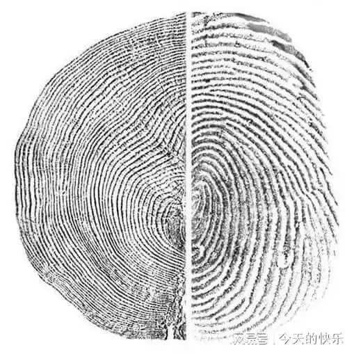 搞笑图片第673期瞄一眼就戒烟,吸烟区和非吸烟区天花板的对比
