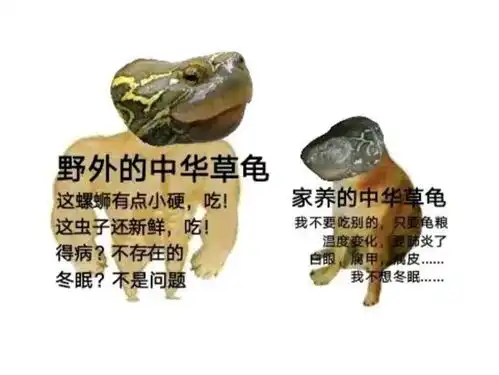 搞笑趣图长得高的男生vs有六块腹肌的男生
