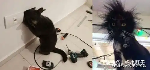 搞笑gif做老婆可以很刁,哎做女人真好
