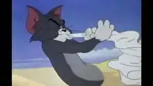 猫和老鼠原版无字幕搞笑高清正版视频在线观看
