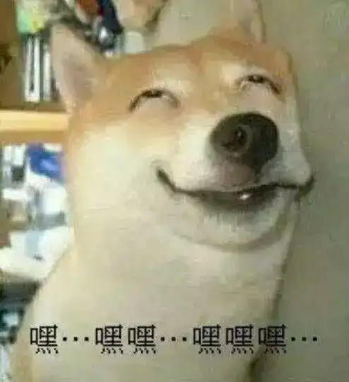 有什么好玩的舔狗表情包吗
