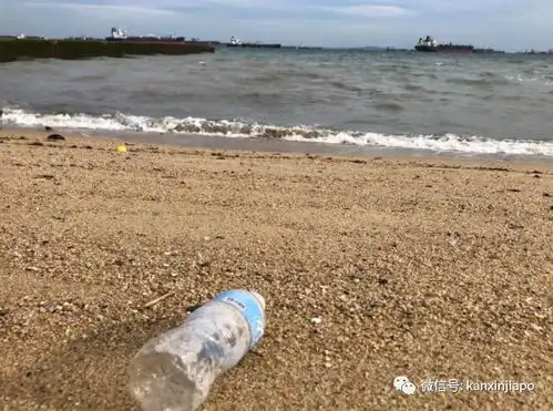 如何从活动小白到组织全城一起搞事情我给东海岸洗了个澡
