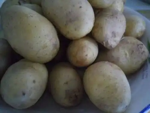 好吃的孜然土豆怎么做全程详细图解,2分钟就能学会
